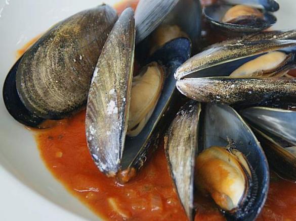 Miesmuscheln in Tomaten Weißweinsoße