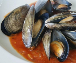 Miesmuscheln in Tomaten Weißweinsoße