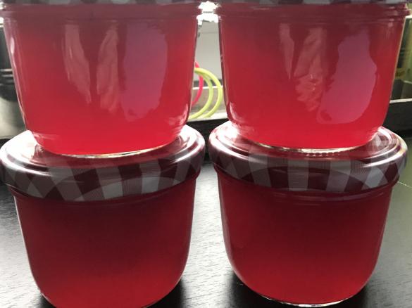 Johannisbeer Gelee / Gelee herstellen mit verschiedene n Früchten