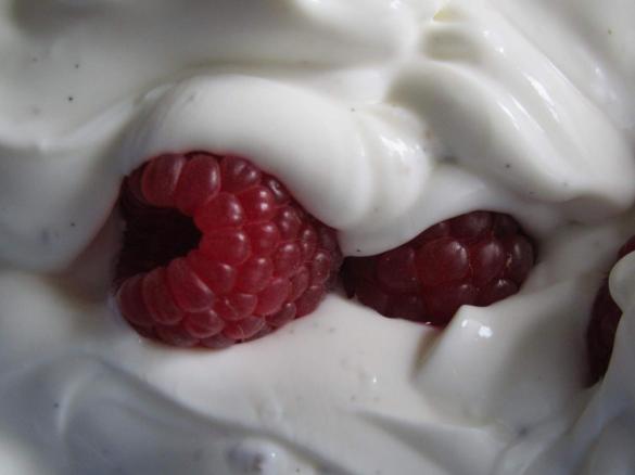 Vanille-Quark mit frischen Himbeeren 