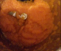 Apfel-Möhren-Ingwer-Marmelade