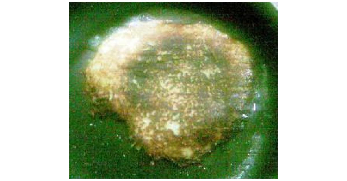 Kartoffelpuffer, ganz einfach und lecker von nickydanny. Ein Thermomix ... Kartoffelpuffer, ganz einfach und lecker von nickydanny. Ein Thermomix ...