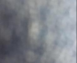 Variation Zuckerreduzierte (Schoko) Zucchini-Muffins OHNE Nüsse