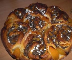 Mohnrollkuchen mit Aprikosen