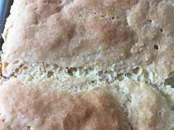 Glutenfreie milchfreie Buchteln