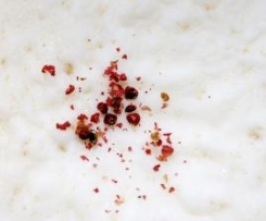 Berliner Schweineschmalz Töpfchen mit Zwiebeln & Äpfel