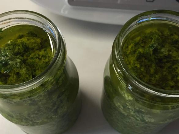 Rucola Pesto