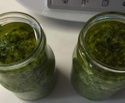 Rucola Pesto