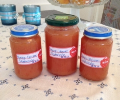 Lu´s Mango-Melonen-Marmelade