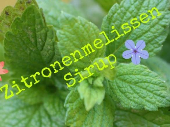 Zitronen-Melissen-Sirup