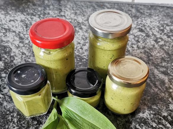 Bärlauchsenf   (scharf)