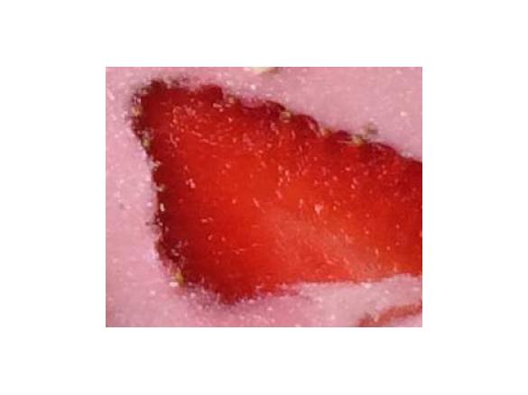 Yoguretten / Joguretten Erdbeereis