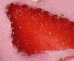 Yoguretten / Joguretten Erdbeereis