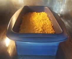 Linsenbraten/Aufschnitt vegan