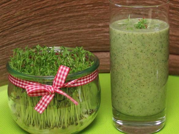 Grüne Smoothies mit Kresse,  Vegan 
