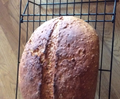 Wifigu das fluffige!