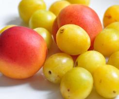 Mirabellen-Aprikosen Marmelade