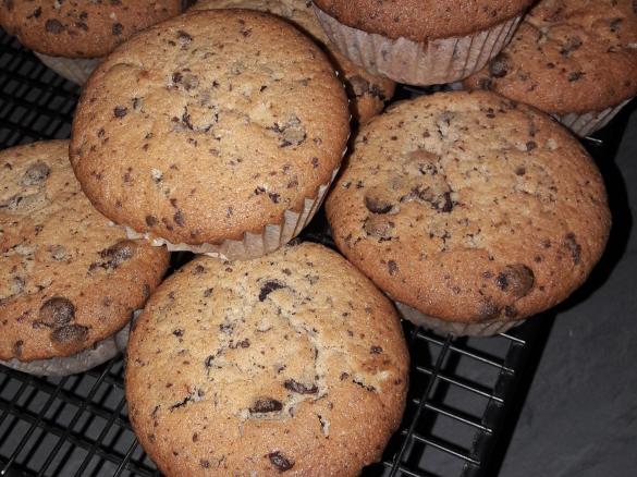 Schoko Schmand Muffins