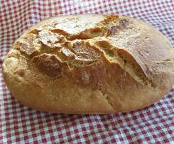 Glutenfreies Polenta Sauerteig Brot