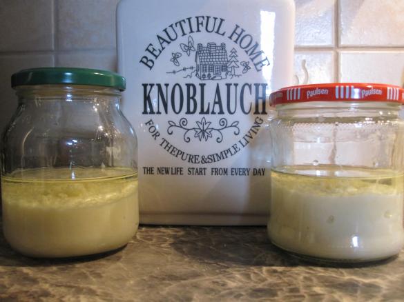 Knoblauch Grundstock