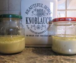 Knoblauch Grundstock