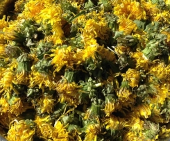 Löwenzahnsirup wie -honig, sooo lecker!