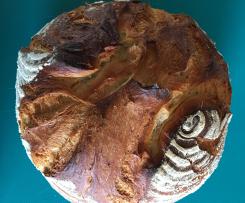 WhatsApp Gemeinschafts-Brot