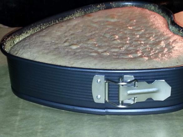 Schoko Quark mit Nüssen