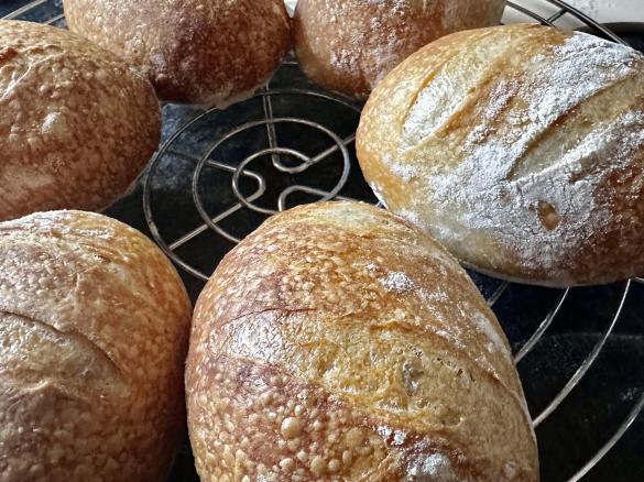 Poolish Brötchenteig