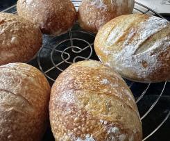 Poolish Brötchenteig