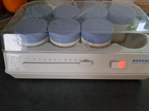 Variation Naturjoghurt herstellen TM6+Joghurtbereiter