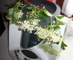 Rene Holunderblüten Panna cotta ...