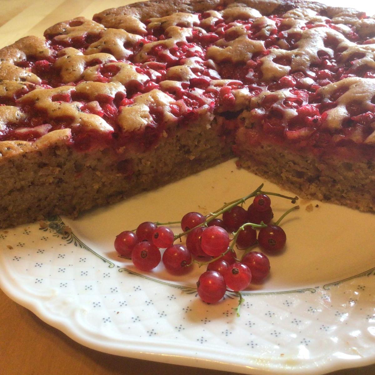 Luxus Thermomix Rezeptwelt Kuchen Fotos