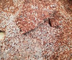 Schokolade paleo / vegan