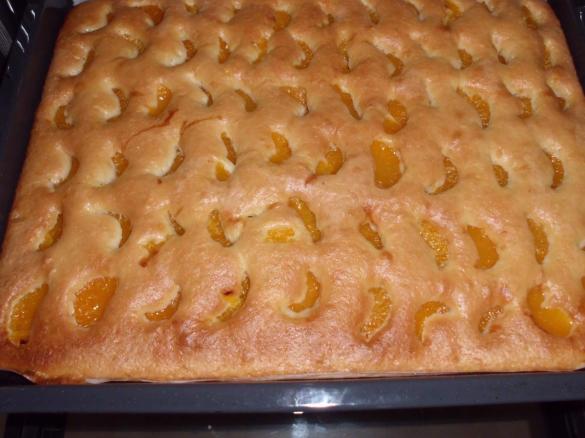 Mandarinenkuchen vom Blech