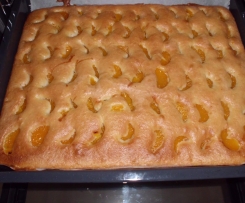 Mandarinenkuchen vom Blech