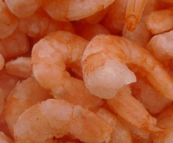 Shrimps-Quark-Tatar