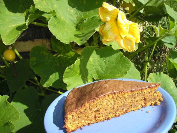 Kürbis-Schoko-Nuss-Kuchen