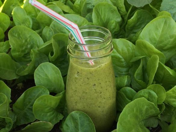 Salat Smoothie, gesund und lecker 