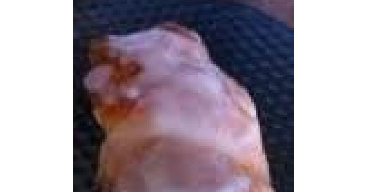 Variation von Hefeblume mit Nussfüllung von sokinai. Ein Thermomix ...