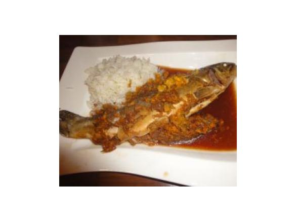 Thailändische Forelle