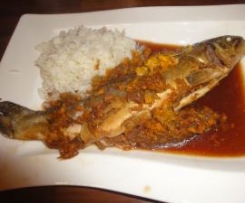 Thailändische Forelle