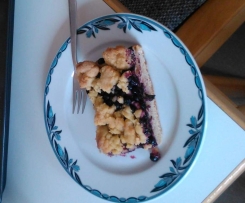 Heidelbeerkuchen mit Streuseln (laktosefrei, vegan)