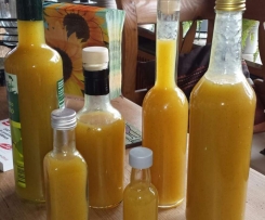 Selbstgemachtes Mangobalsamico / Mangopulpe