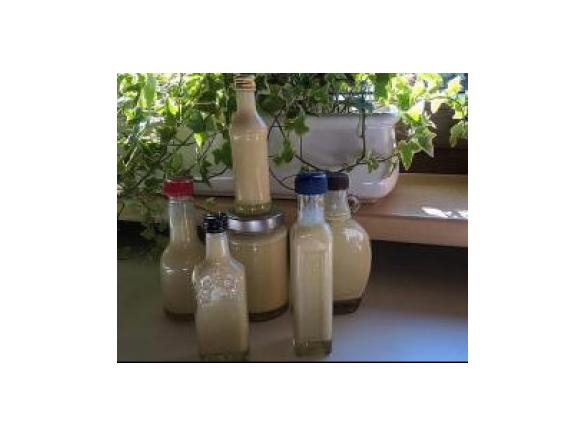 Salat Senf-Sauce auf Vorrat