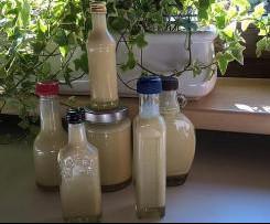 Salat Senf-Sauce auf Vorrat