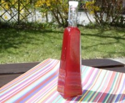 Fruchtiger Sommer-Essig (schnelle Version) mit Variationen