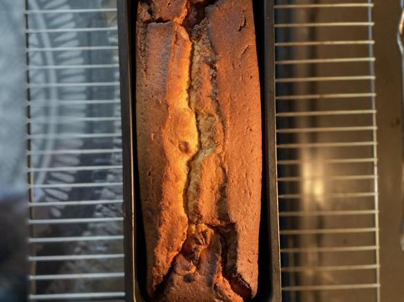 Apfelmus-Joghurt-Kuchen