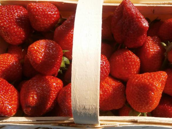 SCHNELLE ERDBEER GAZPACHO