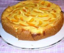 Schmand - Aprikosenkuchen